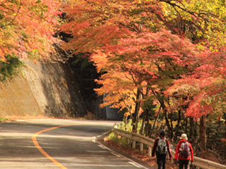 大正浪漫街道について