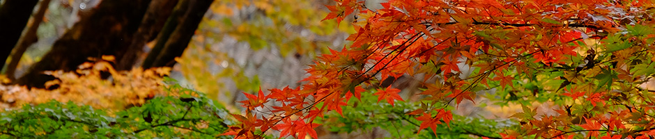 塩原大正浪漫街道