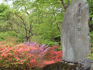 尾崎紅葉（おざきこうよう）文学碑
